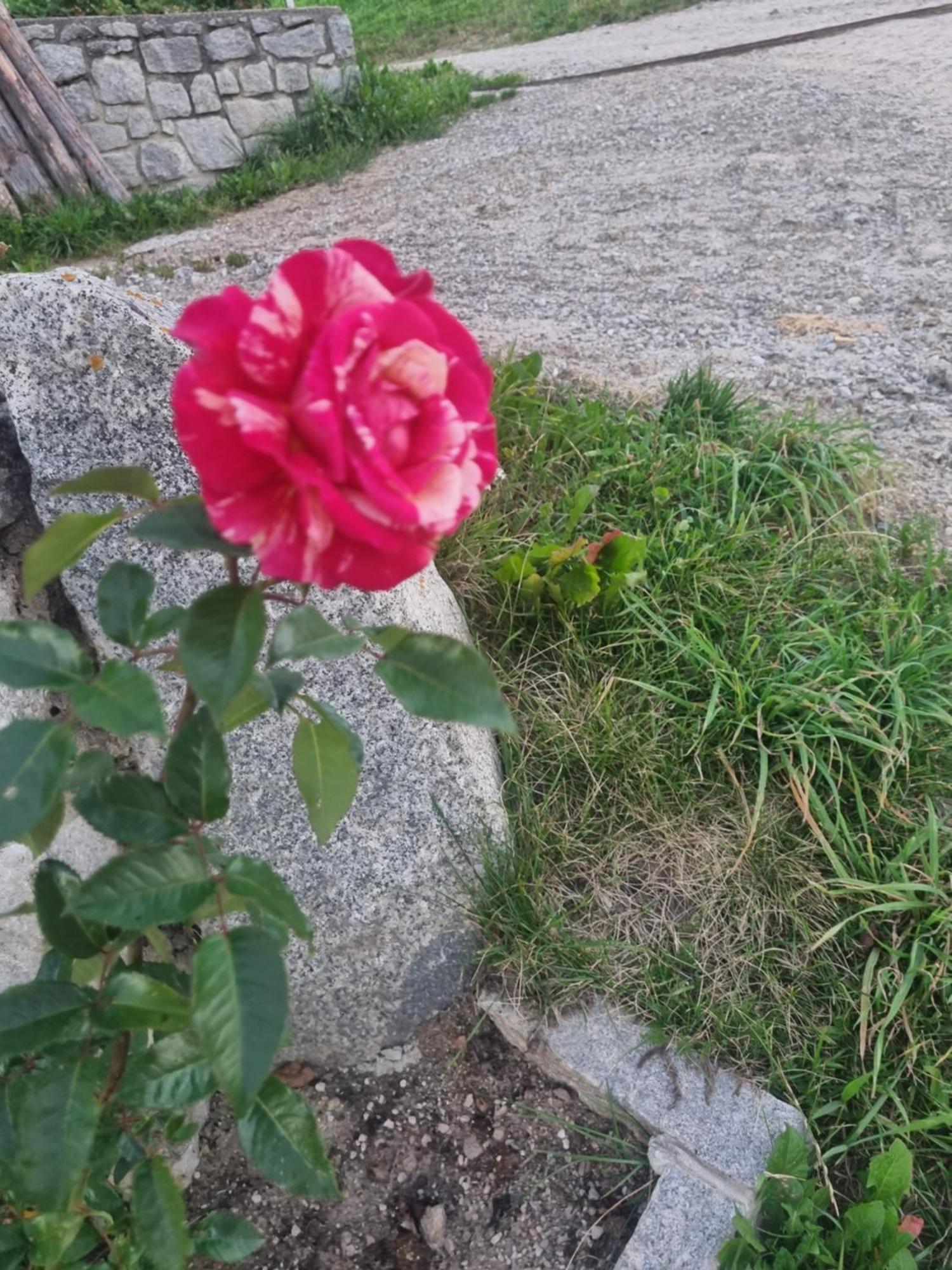 테렌토 Perchnerhof 아파트 외부 사진